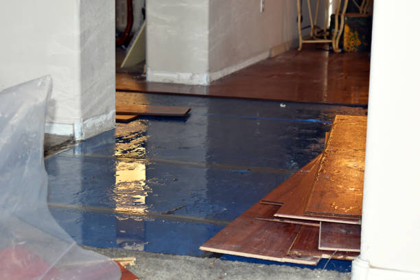 Professional Basement Flood Cleanup technician working in Deersville, OH